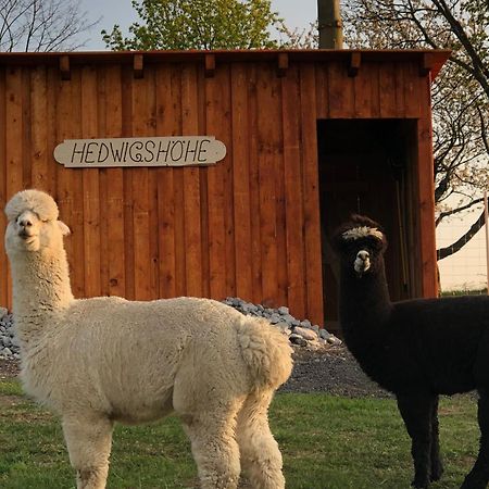 Urlaub Auf Dem Bauernhof Hedwigshoehe Hohnstein Extérieur photo